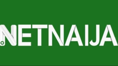 NetNaija – A Comprehensive Guide to the Entertainment Hub – Netnaijaxyz ...