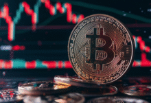 How to Prepare for Volatility in Bitcoin Price CAD as an Investor