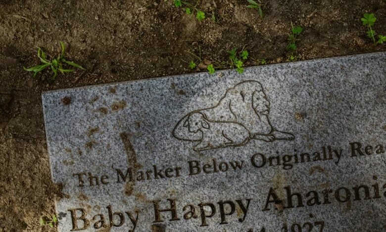 efficient smart online platform